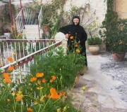 Ναός Άγίου  Ονουφρίου